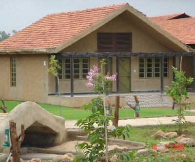 The Celebration Van Vilas